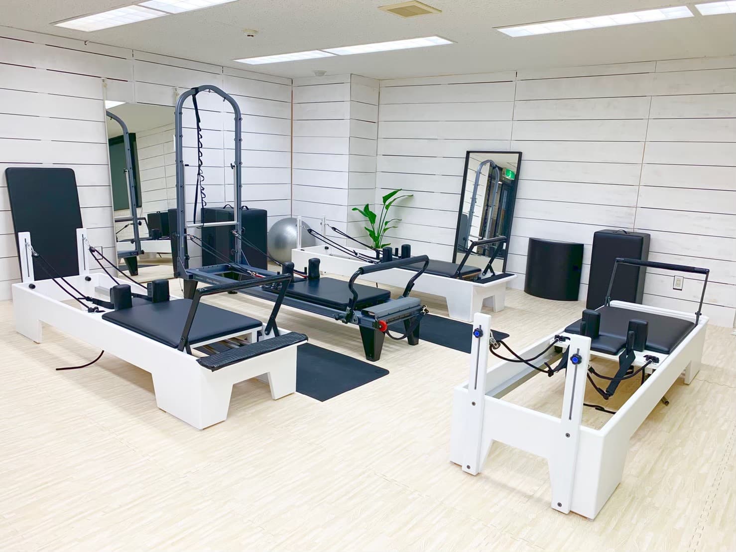 STUDIO TOU - 画像