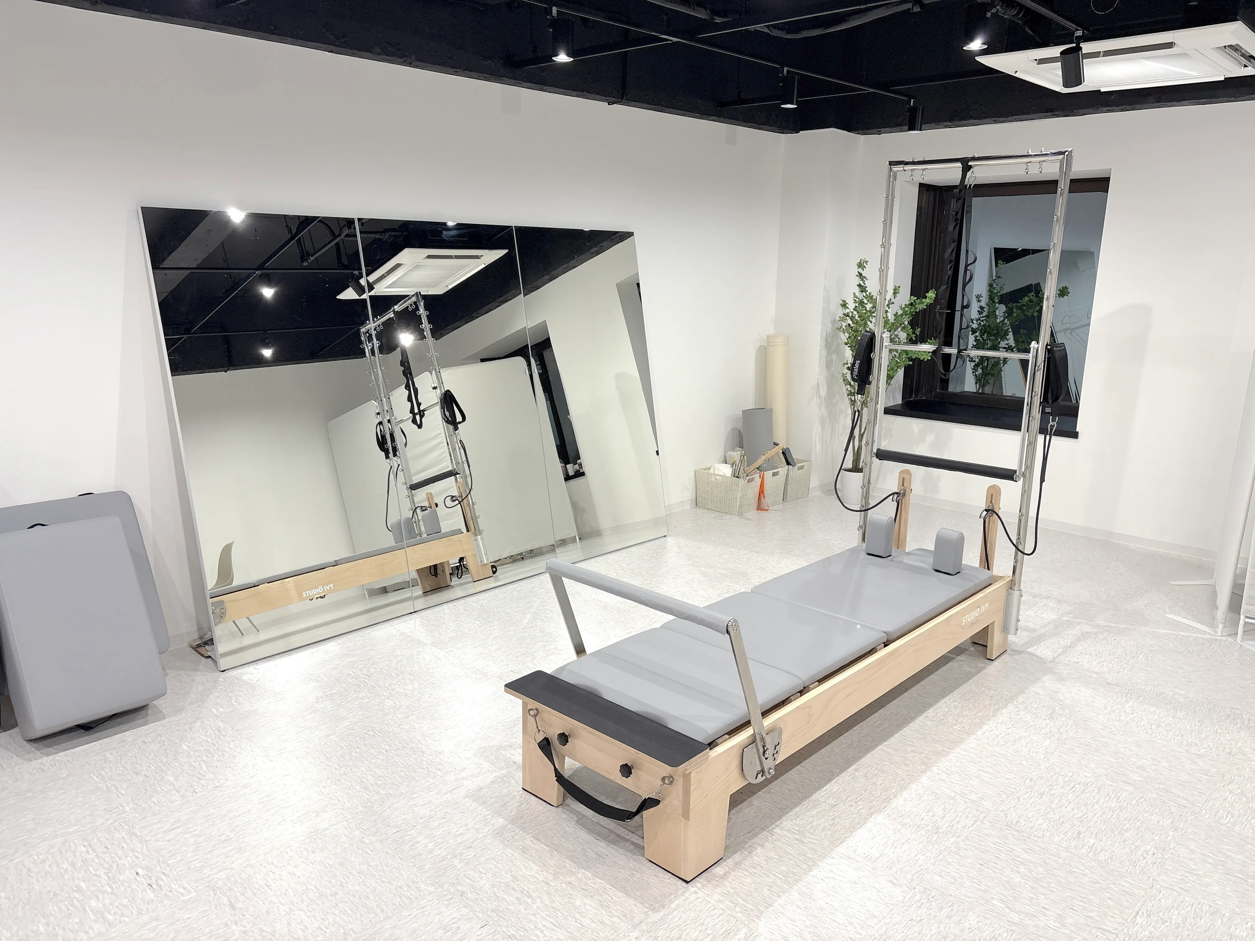 STUDIO IVY