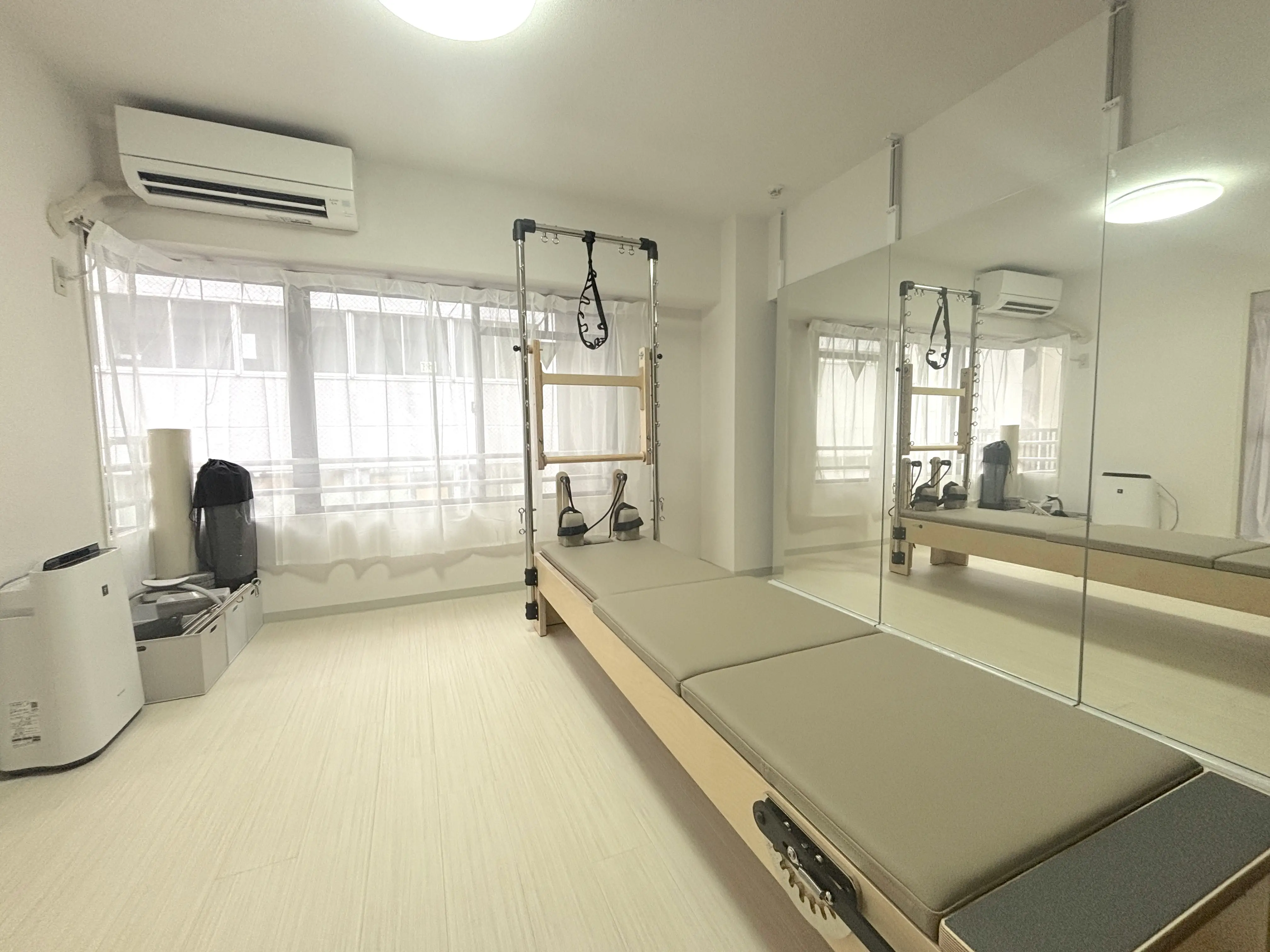 STUDIO IVY
