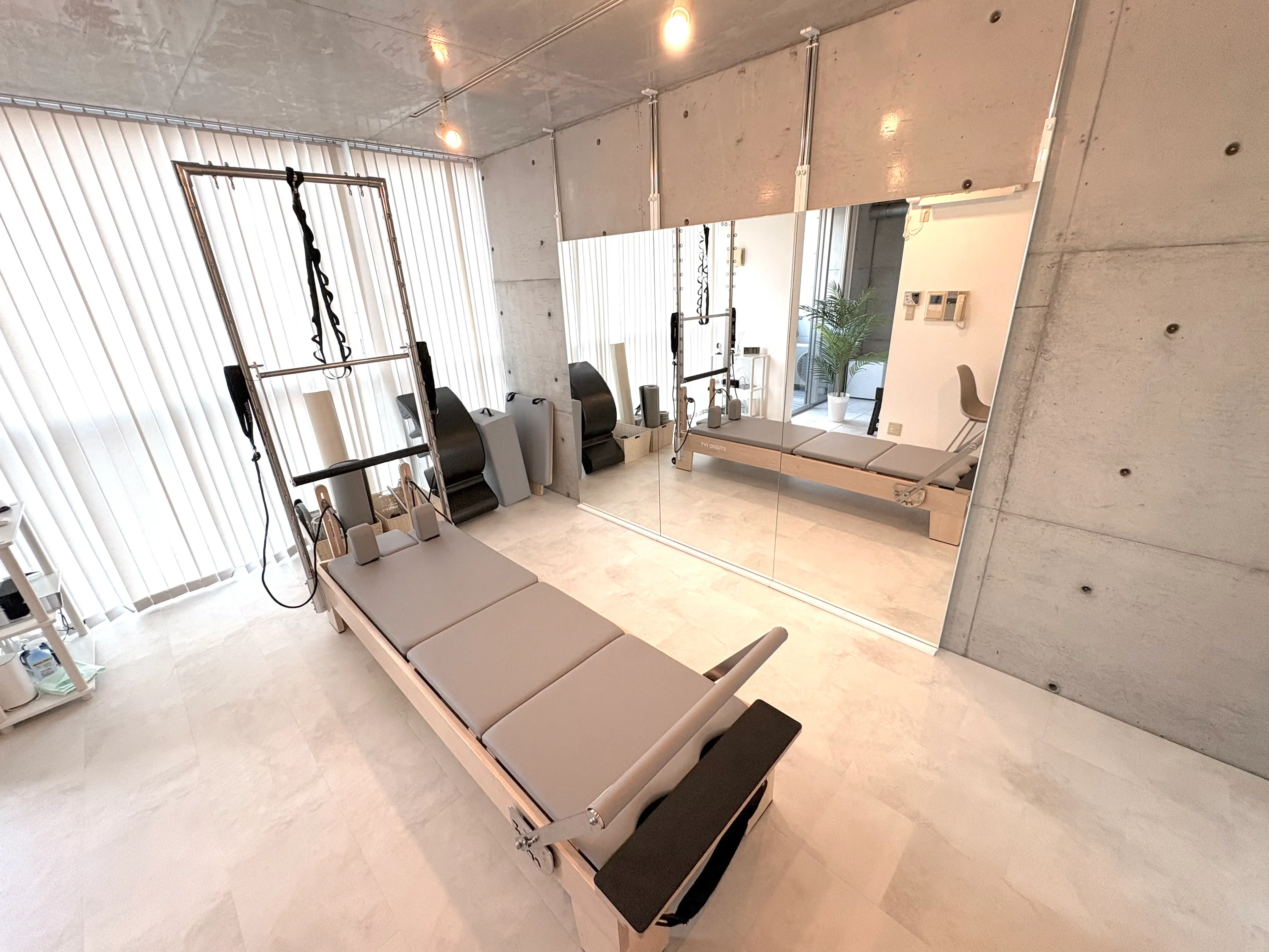 STUDIO IVY